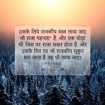 एस्तेर 6:8 HINIRV बाइबल आयत इमेज