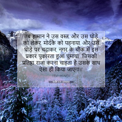 एस्तेर 6:11 HINIRV बाइबल आयत इमेज