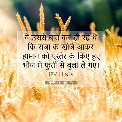 एस्तेर 6:14 HINIRV बाइबल आयत इमेज