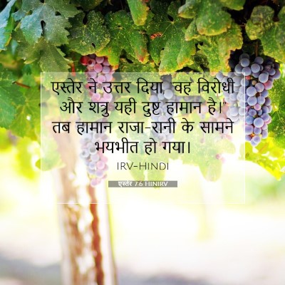 एस्तेर 7:6 HINIRV बाइबल आयत इमेज