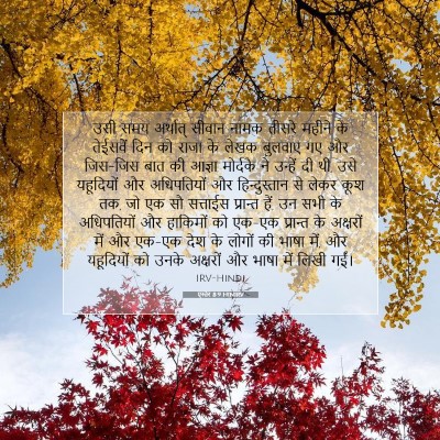 एस्तेर 8:9 HINIRV बाइबल आयत इमेज