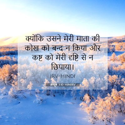 अय्यूब 3:10 HINIRV बाइबल आयत इमेज