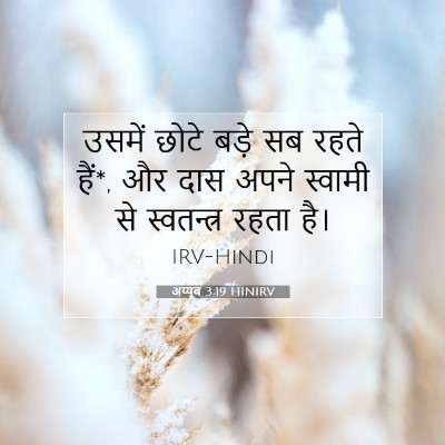 अय्यूब 3:19 HINIRV बाइबल आयत इमेज
