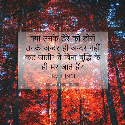 अय्यूब 4:21 HINIRV बाइबल आयत इमेज