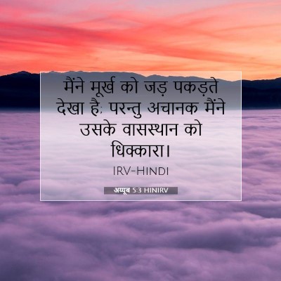 अय्यूब 5:3 HINIRV बाइबल आयत इमेज