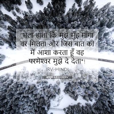 अय्यूब 6:8 HINIRV बाइबल आयत इमेज