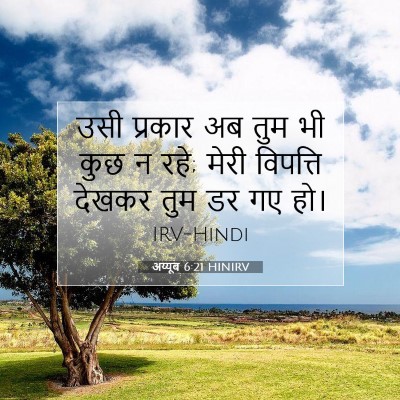 अय्यूब 6:21 HINIRV बाइबल आयत इमेज
