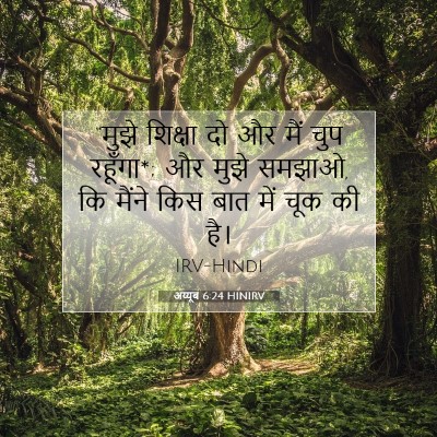 अय्यूब 6:24 HINIRV बाइबल आयत इमेज