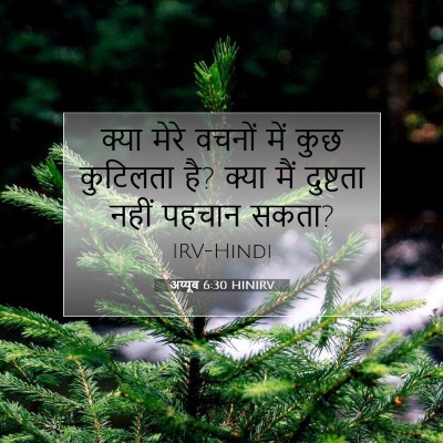 अय्यूब 6:30 HINIRV बाइबल आयत इमेज