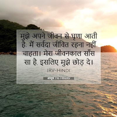 अय्यूब 7:16 HINIRV बाइबल आयत इमेज