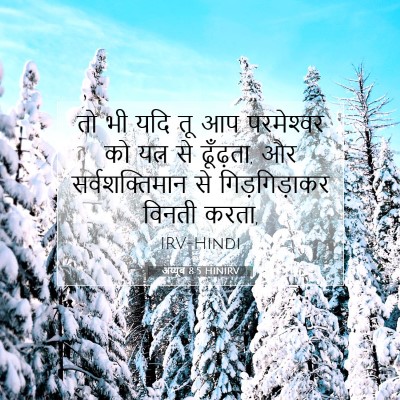 अय्यूब 8:5 HINIRV बाइबल आयत इमेज
