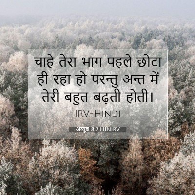 अय्यूब 8:7 HINIRV बाइबल आयत इमेज