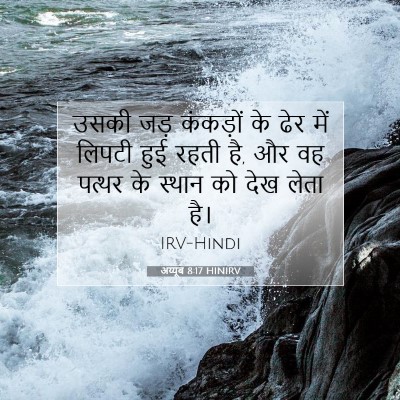 अय्यूब 8:17 बाइबल आयत की व्याख्या