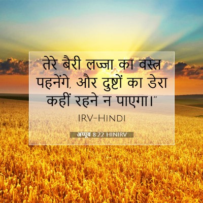 अय्यूब 8:22 HINIRV बाइबल आयत इमेज