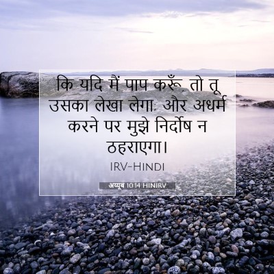 अय्यूब 10:14 HINIRV बाइबल आयत इमेज