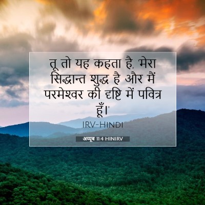 अय्यूब 11:4 HINIRV बाइबल आयत इमेज