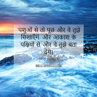 अय्यूब 12:7 HINIRV बाइबल आयत इमेज