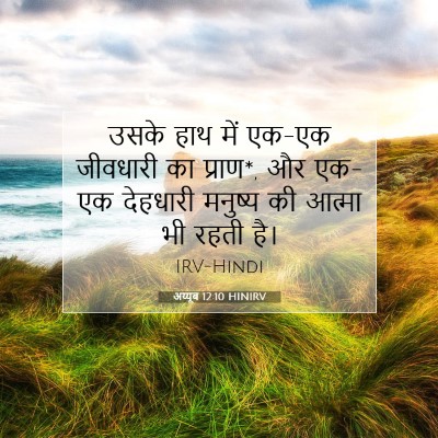 अय्यूब 12:10 HINIRV बाइबल आयत इमेज