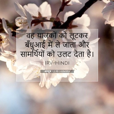 अय्यूब 12:19 HINIRV बाइबल आयत इमेज