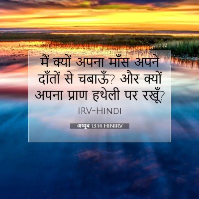 अय्यूब 13:14 HINIRV बाइबल आयत इमेज
