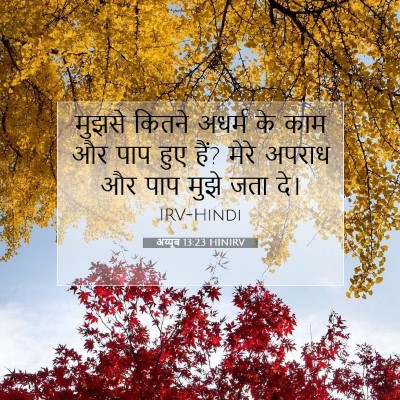 अय्यूब 13:23 HINIRV बाइबल आयत इमेज