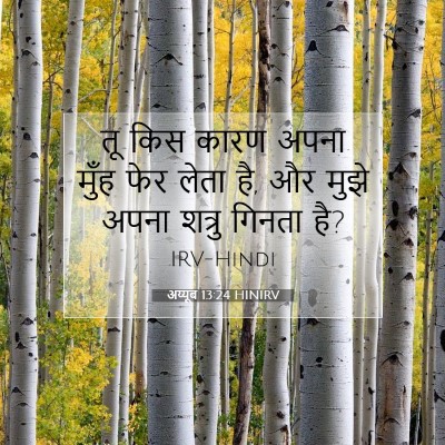अय्यूब 13:24 HINIRV बाइबल आयत इमेज