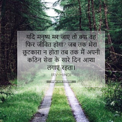 अय्यूब 14:14 HINIRV बाइबल आयत इमेज
