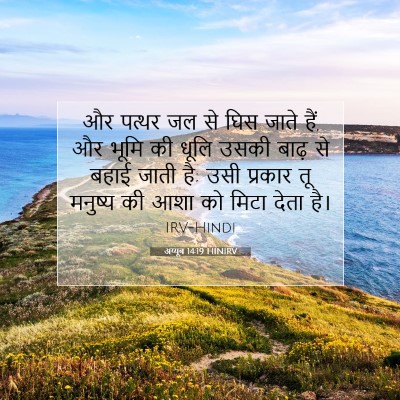 अय्यूब 14:19 HINIRV बाइबल आयत इमेज