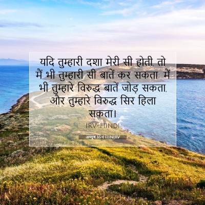 अय्यूब 16:4 HINIRV बाइबल आयत इमेज