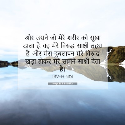 अय्यूब 16:8 HINIRV बाइबल आयत इमेज