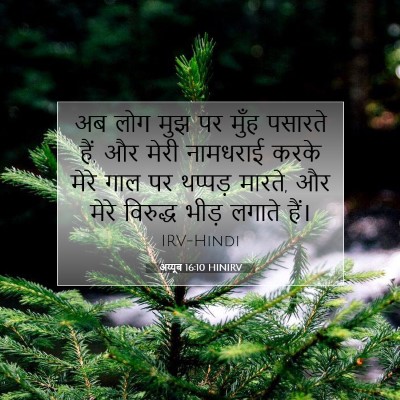 अय्यूब 16:10 HINIRV बाइबल आयत इमेज