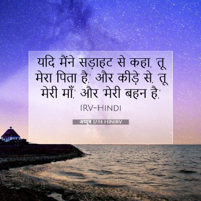 अय्यूब 17:14 HINIRV बाइबल आयत इमेज