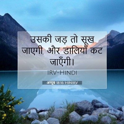 अय्यूब 18:16 HINIRV बाइबल आयत इमेज