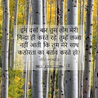 अय्यूब 19:3 HINIRV बाइबल आयत इमेज