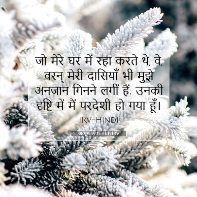 अय्यूब 19:15 बाइबल आयत की व्याख्या