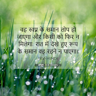 अय्यूब 20:8 HINIRV बाइबल आयत इमेज