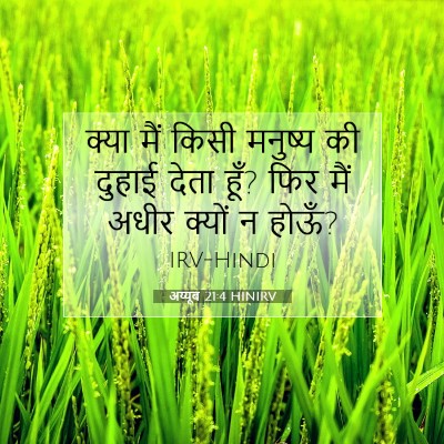 अय्यूब 21:4 HINIRV बाइबल आयत इमेज