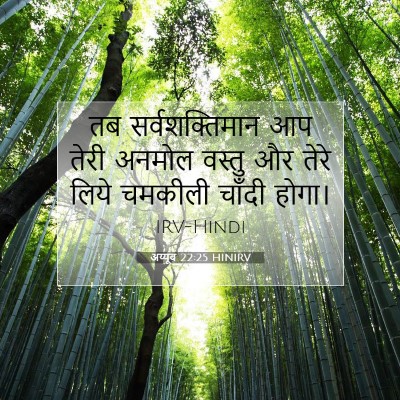 अय्यूब 22:25 HINIRV बाइबल आयत इमेज