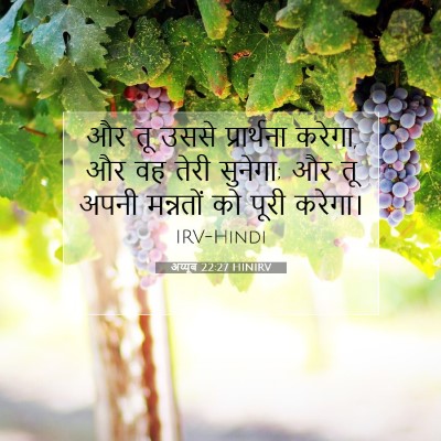 अय्यूब 22:27 HINIRV बाइबल आयत इमेज