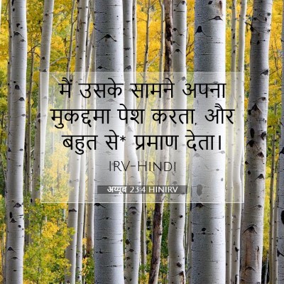अय्यूब 23:4 HINIRV बाइबल आयत इमेज