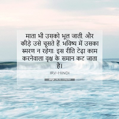 अय्यूब 24:20 HINIRV बाइबल आयत इमेज