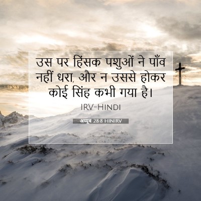 अय्यूब 28:8 HINIRV बाइबल आयत इमेज