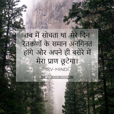 अय्यूब 29:18 HINIRV बाइबल आयत इमेज