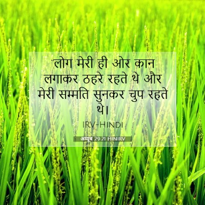 अय्यूब 29:21 HINIRV बाइबल आयत इमेज