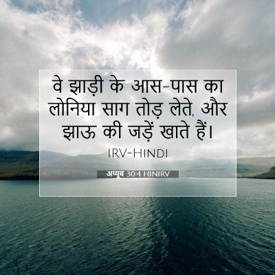 अय्यूब 30:4 बाइबल आयत की व्याख्या