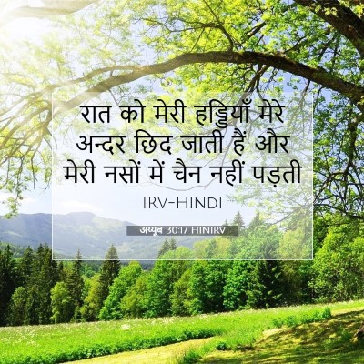 अय्यूब 30:17 HINIRV बाइबल आयत इमेज