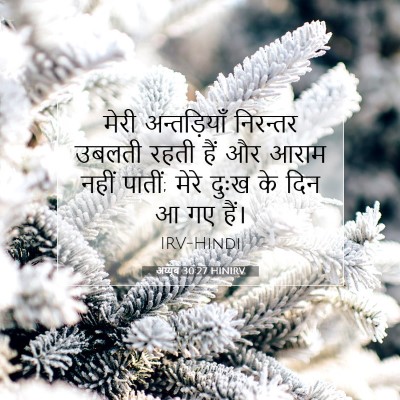 अय्यूब 30:27 HINIRV बाइबल आयत इमेज