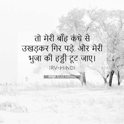 अय्यूब 31:22 बाइबल आयत की व्याख्या