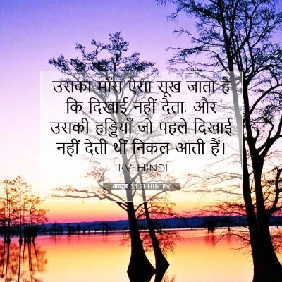 अय्यूब 33:21 HINIRV बाइबल आयत इमेज