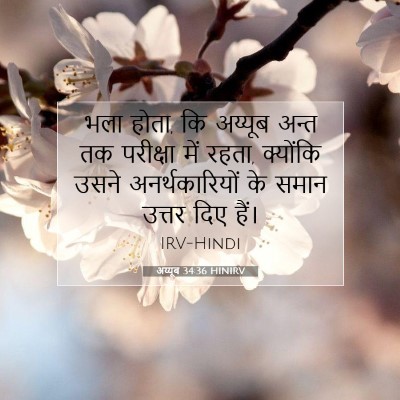 अय्यूब 34:36 HINIRV बाइबल आयत इमेज